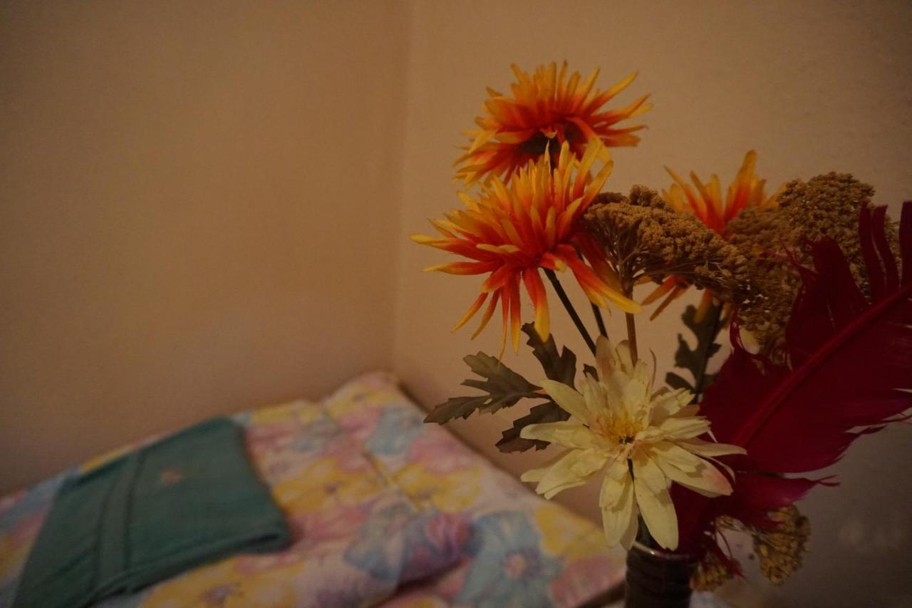 Piri Vendeghaz Hotel ไฮจ์ดูบอสซอร์มีนย์ ภายนอก รูปภาพ