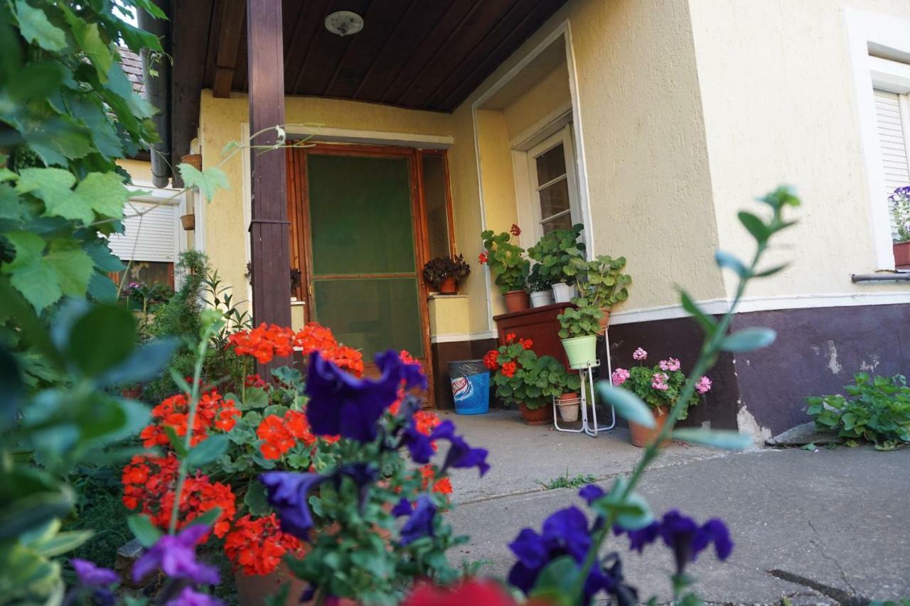 Piri Vendeghaz Hotel ไฮจ์ดูบอสซอร์มีนย์ ภายนอก รูปภาพ
